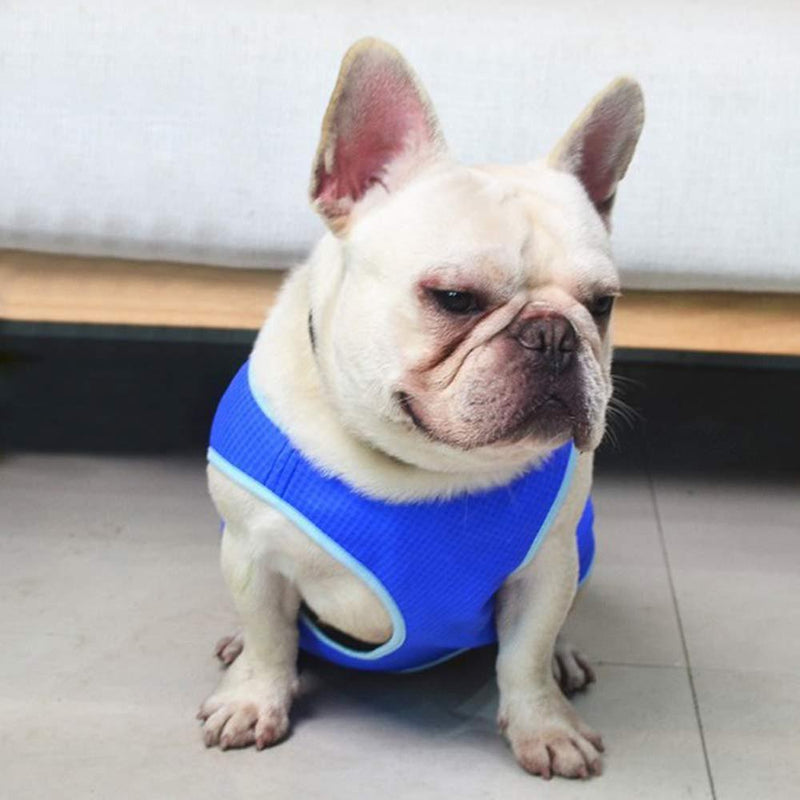 Chaleco refrescante para perros