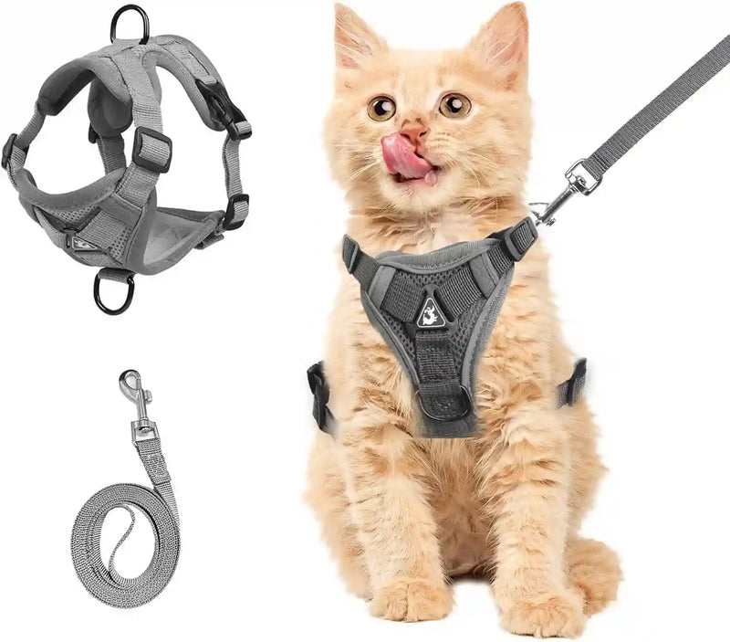 Summer Cat Chest Harness And Leash, Anti-Escape Adjustable Soft Mesh Cat Leash And Chest Harness Set For All Types Of Cats Cat Vests