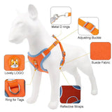 New Dog Leash And Harness Set